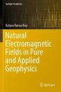 Natural Electromagnetic Fields In Pure And Applied Geophysics - Preview