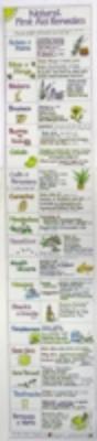 Natural First Aid Remedies Chart - Preview