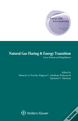 Capa do artigo Natural Gas Flaring & Energy Transition