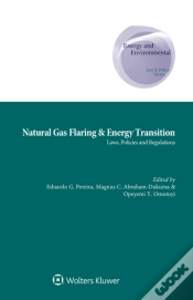 Capa do artigo Natural Gas Flaring & Energy Transition