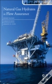 Natural Gas Hydrates In Flow Assurance