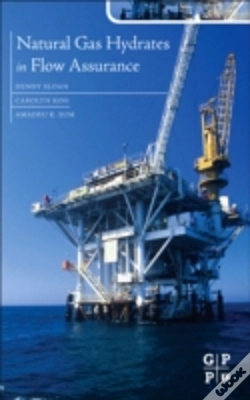 Capa do artigo Natural Gas Hydrates In Flow Assurance