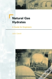 Capa do artigo Natural Gas Hydrates