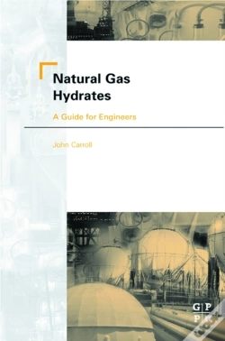 Capa do artigo Natural Gas Hydrates