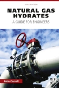 Capa do artigo Natural Gas Hydrates