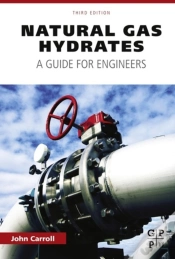 Capa do artigo Natural Gas Hydrates