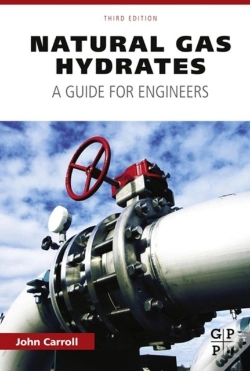 Capa do artigo Natural Gas Hydrates