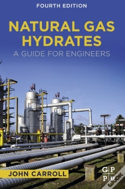 Capa do artigo Natural Gas Hydrates