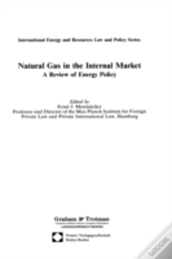 Capa do artigo Natural Gas In The Internal Market