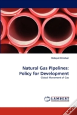 Capa do artigo Natural Gas Pipelines
