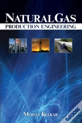 Natural Gas Production Engineering