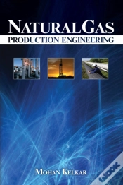 Capa do artigo Natural Gas Production Engineering
