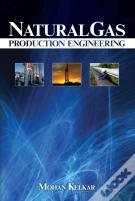 Natural Gas Production Engineering