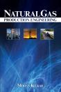 Natural Gas Production Engineering - Preview