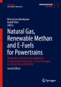 Natural Gas, Renewable Methan And E-Fuels For Powertrains - Preview