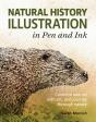 Natural History Illustration In Pen And Ink - Preview
