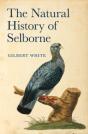 Natural History Of Selborne - Preview