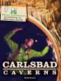 Natural Laboratories: Scientists In National Parks Carlsbad Caverns - Preview