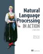 Natural Language Processing In Action - Preview
