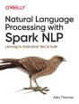 Natural Language Processing With Spark Nlp - Preview