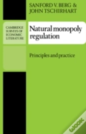 Capa do artigo Natural Monopoly Regulation