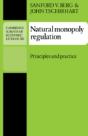 Natural Monopoly Regulation - Preview