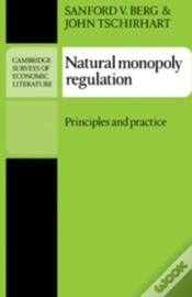 Capa do artigo Natural Monopoly Regulation