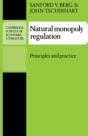 Natural Monopoly Regulation - Preview