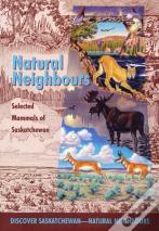 Natural Neighbours
