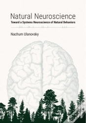 Capa do artigo Natural Neuroscience