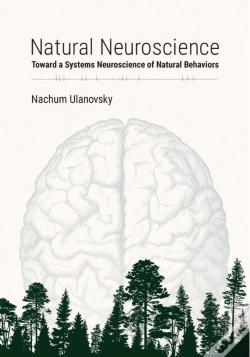 Capa do artigo Natural Neuroscience