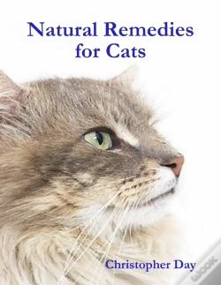 Capa do artigo Natural Remedies For Cats