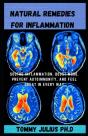 Natural Remedies For Inflammation - Preview