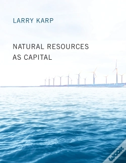Capa do artigo Natural Resources As Capital