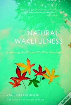 Capa do artigo Natural Wakefulness