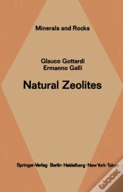 Capa do artigo Natural Zeolites