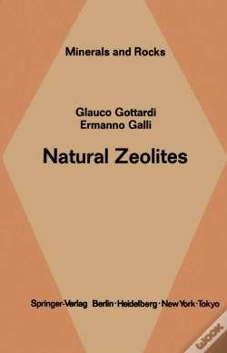 Capa do artigo Natural Zeolites