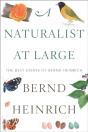 Naturalist At Large - Preview