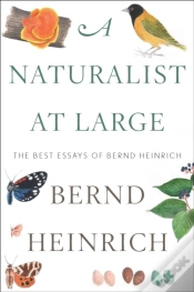 Capa do artigo Naturalist At Large