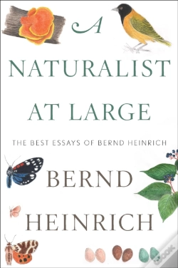Capa do artigo Naturalist At Large