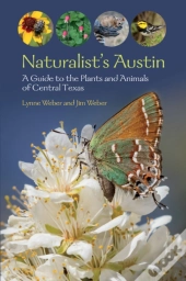 Naturalist'S Austin