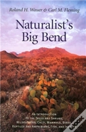 Capa do artigo Naturalist