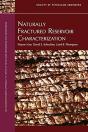 Naturally Fractured Reservoir Characterization - Preview