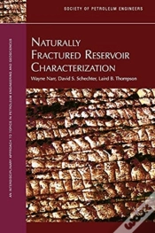 Capa do artigo Naturally Fractured Reservoir Characterization