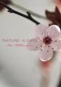 Nature - A Gift - Preview