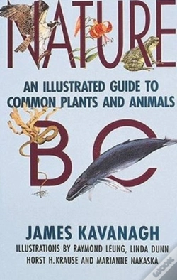 Capa do artigo Nature Bc