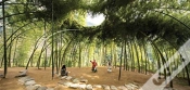 Capa do artigo Nature: Collaborations In Design