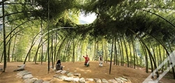 Capa do artigo Nature: Collaborations In Design