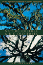 Nature, Culture, And Big Old Trees - Preview