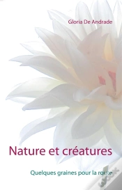 Capa do artigo Nature Et Creatures - Quelques Graines Pour La Route
